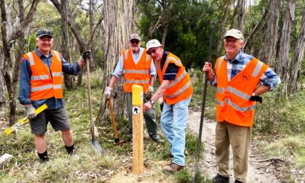 National Volunteer Week: The Change Makers