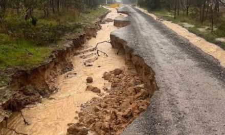 Local Road Damage in the Spotlight in RACV Survey