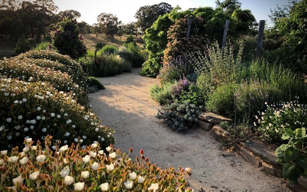 Garden Design Features at the Daylesford Horticultural Monthly Meeting