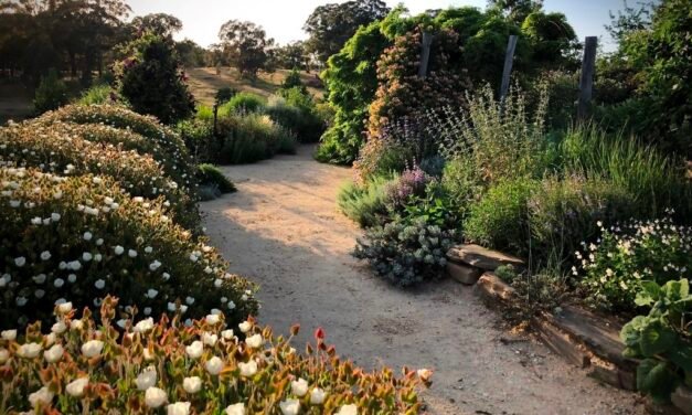 Garden Design Features at the Daylesford Horticultural Monthly Meeting