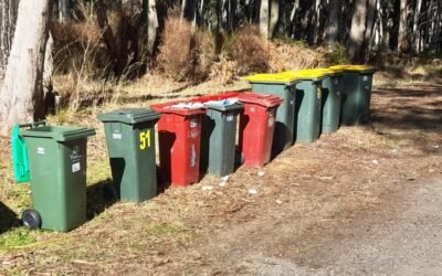 Local Government Reporting Exposes Strengths and Weaknesses in Council Performance