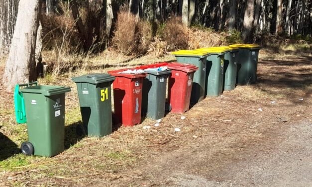 Local Government Reporting Exposes Strengths and Weaknesses in Council Performance