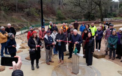 Central Springs Redevelopment Officially Opened