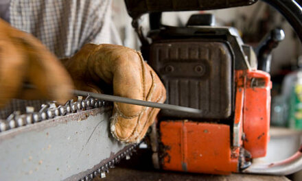 Learn How to Sharpen Your Chainsaw at the July Repair Café