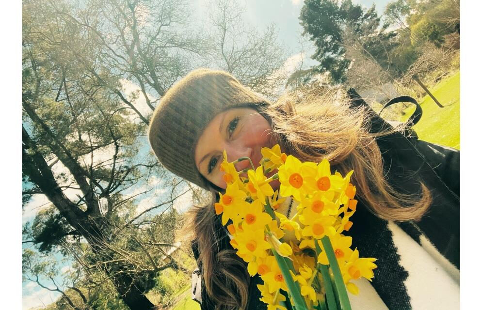 Photo of the Week A Host of Golden Daffodils The Wombat Post