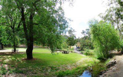 New Shire Visitor Site Launched