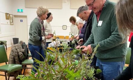 Pot Plants Propagating at Horti Workshop