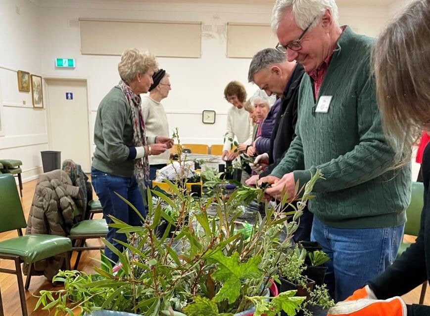 Pot Plants Propagating at Horti Workshop