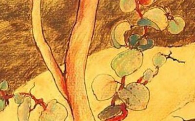 Lessons in Disaster Training