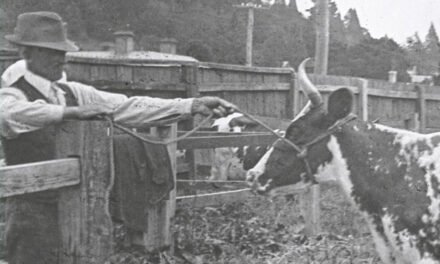 History of the Agricultural Show at the Daylesford Museum