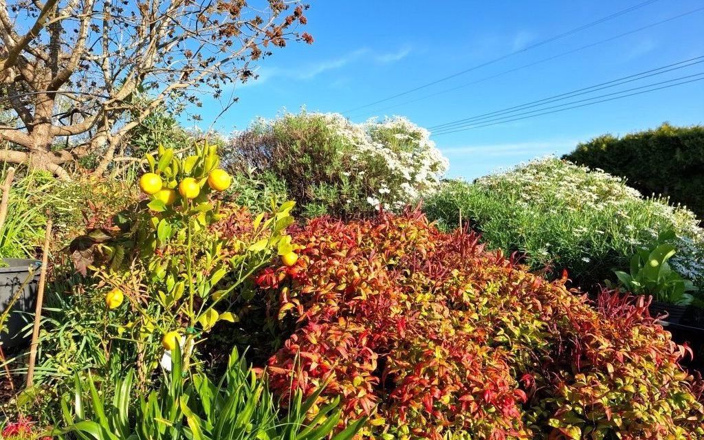 Spring Slow in Coming and Very Dry