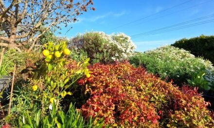 Spring Slow in Coming and Very Dry