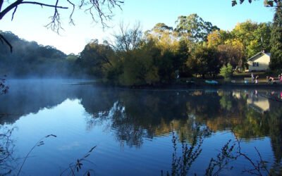 Try Bushwalking in November