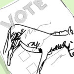 Donkey Voters Swing Council Election