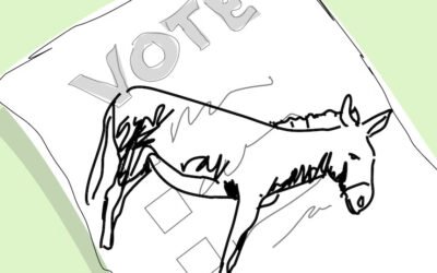 Donkey Voters Swing Council Election