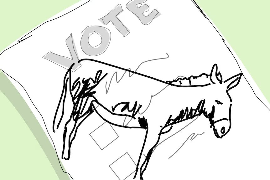 Donkey Voters Swing Council Election