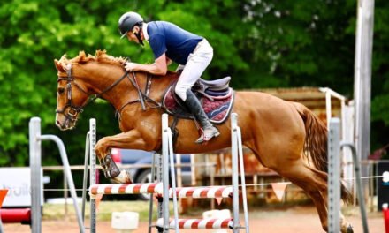 Outstanding Success for Daylesford Show