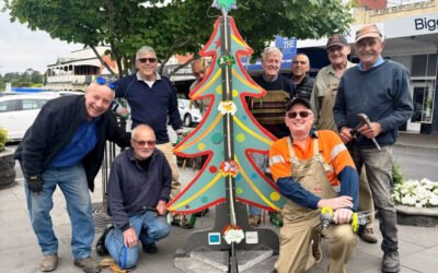 Wombat Trees Return to Vincent Street for Christmas