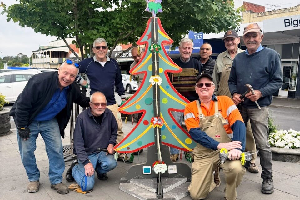 Wombat Trees Return to Vincent Street for Christmas