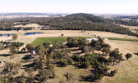 A Family Affair at Kyneton Ridge