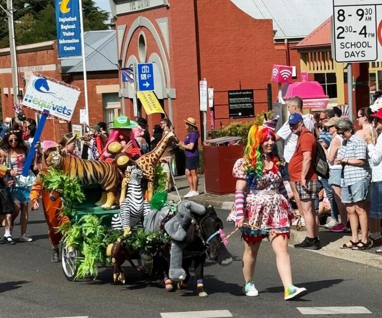 Council Backs Four Major Festivals for Two More Years