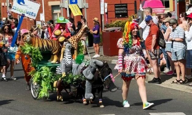 Council Backs Four Major Festivals for Two More Years