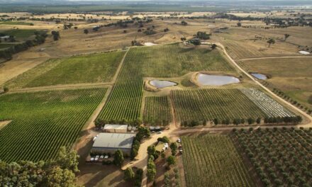 Heathcote Wineries Day Trip