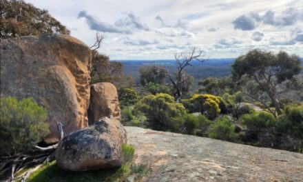 Dja Dja Wurrung Take First Steps Towards Local Treaty Negotiations