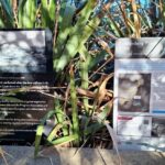 Lerderderg Track Trailhead – Take the Slow Road to Bacchus Marsh