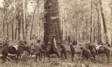 The History Files:  Benjamin Burman, Convict Father of One of the Three Lost Children