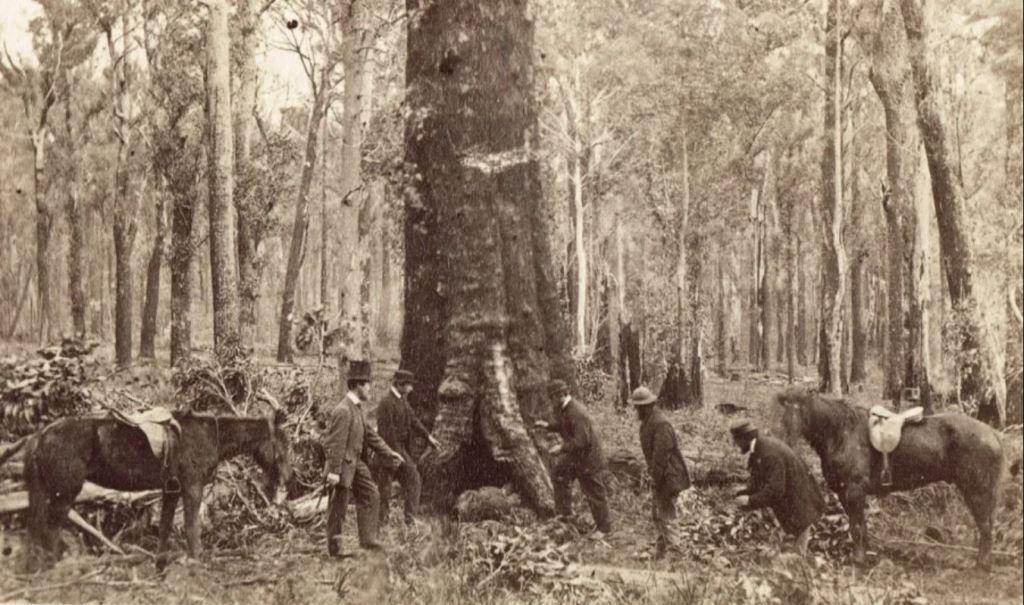 The History Files:  Benjamin Burman, Convict Father of One of the Three Lost Children