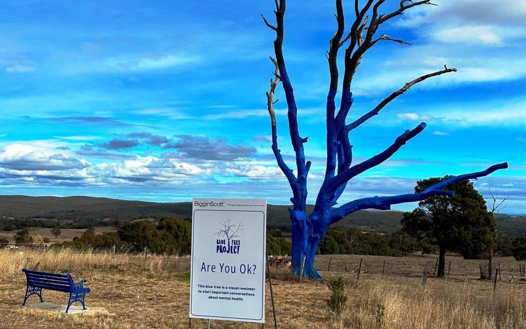 Blue Trees and Youth Mental Health