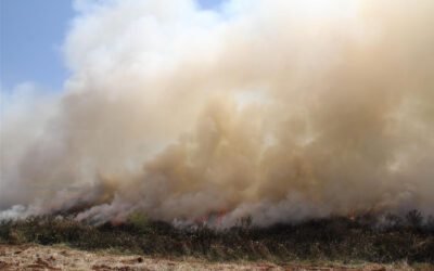 Fire Restrictions Lifted in Hepburn Shire, But Caution Still Urged