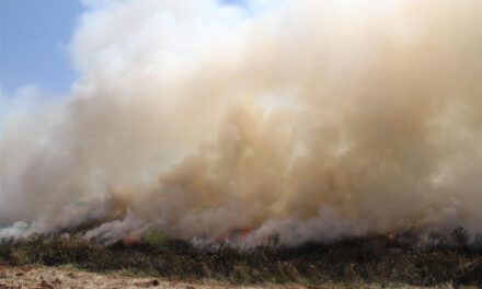 Fire Restrictions Lifted in Hepburn Shire, But Caution Still Urged