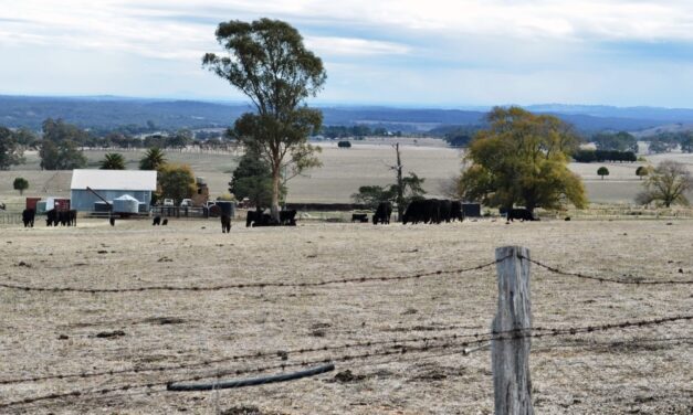 Farmers in Hepburn Shire to Benefit from Expanded Victorian Drought Support Package