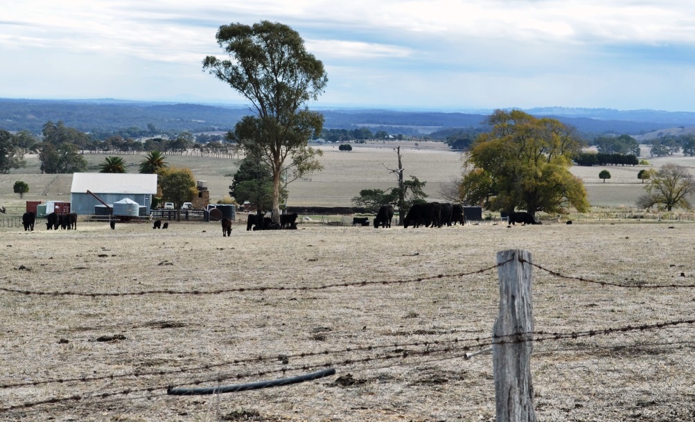 Farmers in Hepburn Shire to Benefit from Expanded Victorian Drought Support Package