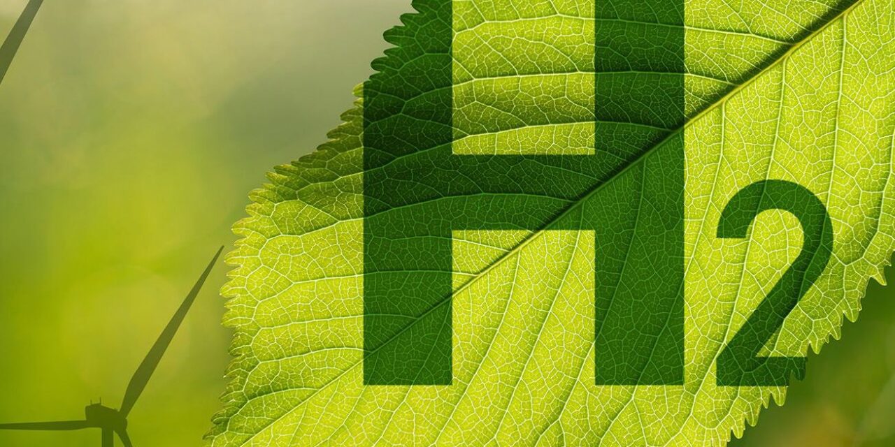 Green Hydrogen: From Hype to Disillusionment to Enlightenment