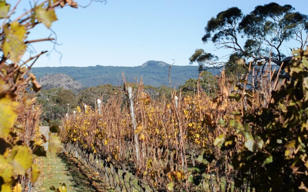 The Secret of Hanging Rock