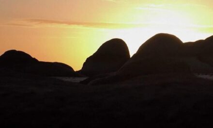“Returning Our Ancestors” – Documentary Screening at Radius Art Space