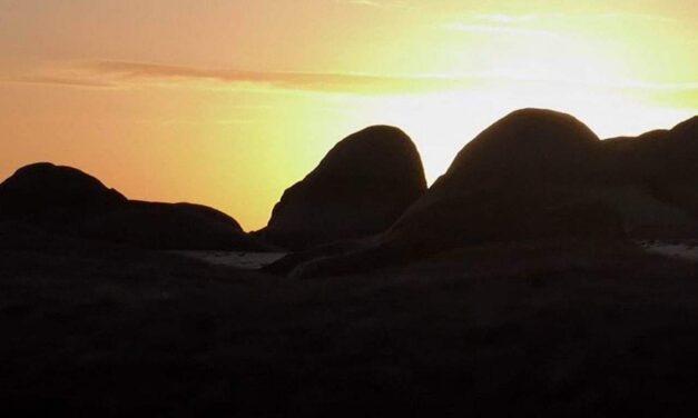 “Returning Our Ancestors” – Documentary Screening at Radius Art Space