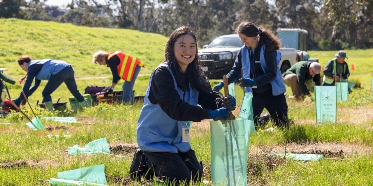 Celebrating National Volunteer Week 2025: Embracing New Trends in Volunteering