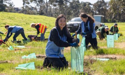 Celebrating National Volunteer Week 2025: Embracing New Trends in Volunteering