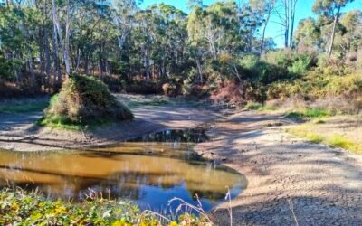 Of Droughts and Flooding Rains