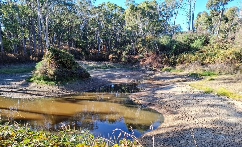 Of Droughts and Flooding Rains