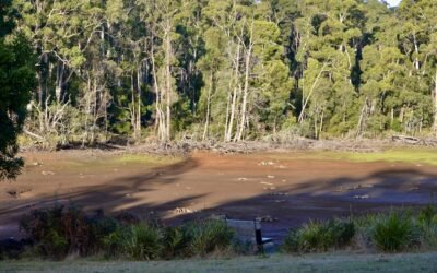 Water Restrictions to Commence in Daylesford and Hepburn Region from July 1