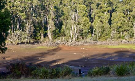 Water Restrictions to Commence in Daylesford and Hepburn Region from July 1