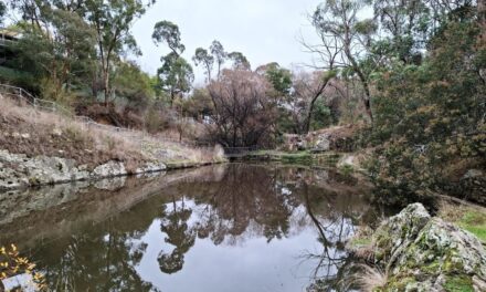 Hepburn Pool: A Hidden Heritage Gem