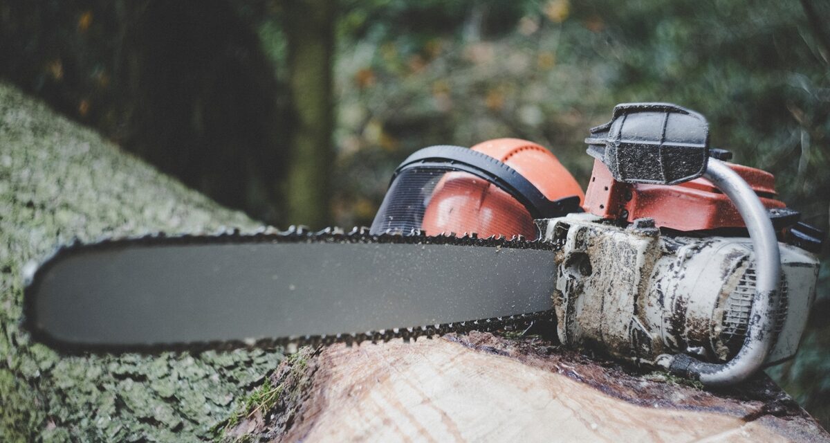 Keeping Warm in Winter- Chainsaw Sharpening at Daylesford Repair Cafe