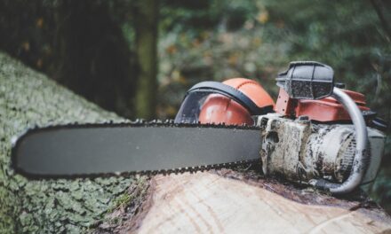 Keeping Warm in Winter- Chainsaw Sharpening at Daylesford Repair Cafe