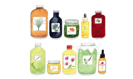 Book Review: The Medicinal Garden